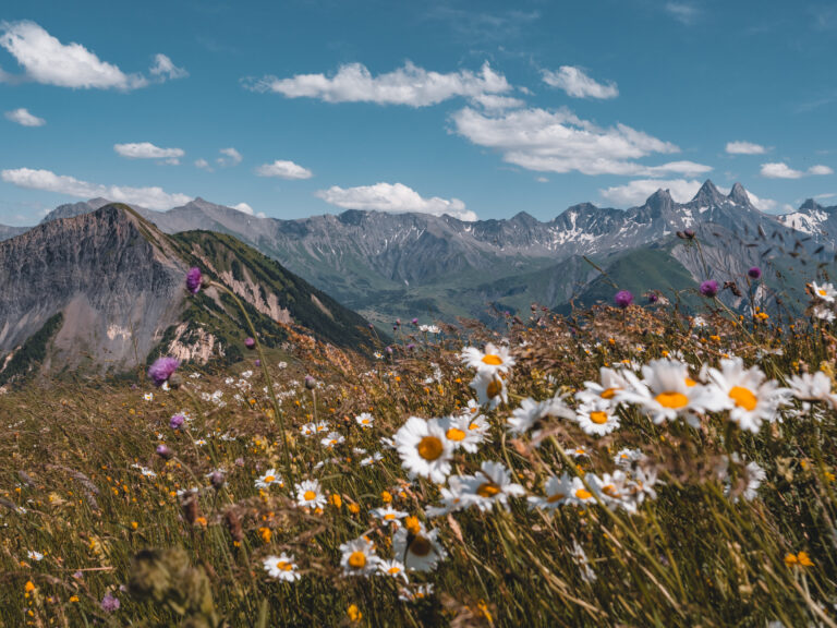 Photo du paysage printanier du corbier avec vue sur les montagnes les aiguilles d'arves et des fleurs